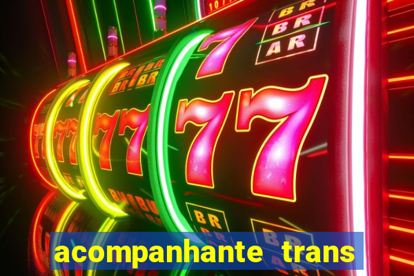 acompanhante trans porto seguro